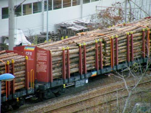DSCN4845.jpg