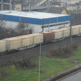 DSCN5055