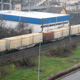 DSCN5055E