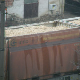 DSCN5056