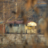 DSCN5605