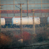 DSCN5607