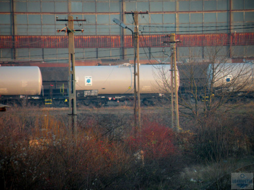 DSCN5608.jpg