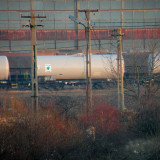 DSCN5608