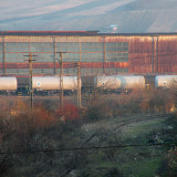 DSCN5609