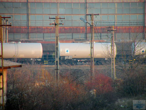 DSCN5610.jpg