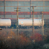 DSCN5610