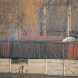 DSCN5612