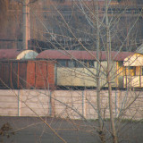DSCN5614