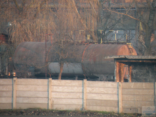 DSCN5616.jpg