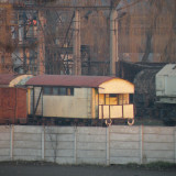 DSCN5618