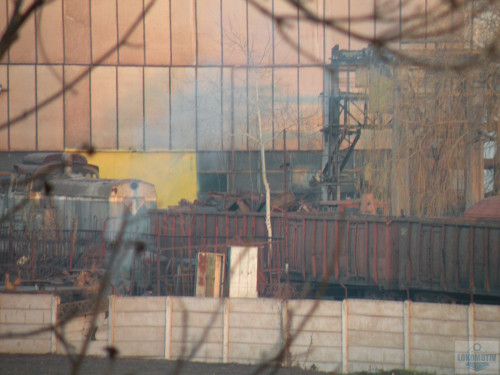DSCN5619.jpg