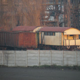DSCN5621