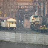 DSCN5626