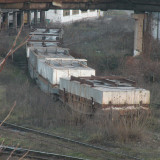 DSCN5632