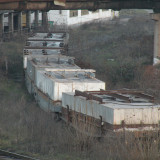 DSCN5633