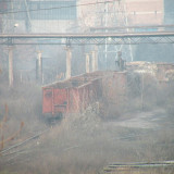 DSCN5635