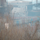 DSCN5639