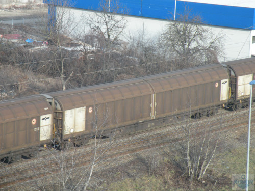 DSCN6013.jpg