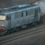 DSCN6177