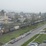 DSCN6558