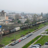 DSCN6558e