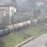DSCN6559