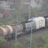 DSCN6561