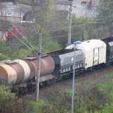 DSCN6561e