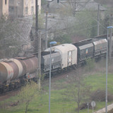 DSCN6563
