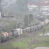 DSCN6564