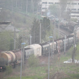 DSCN6565