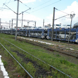 DSCN7449