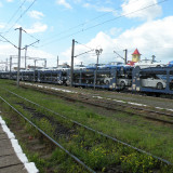 DSCN7452