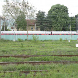 DSCN7459