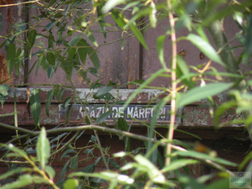 DSCN9326.jpg