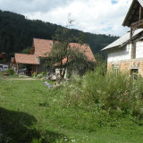DSCN9356