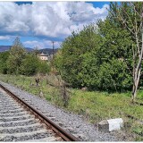 Piatra-Neamt-14