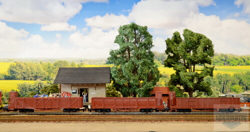 DSC 8866
