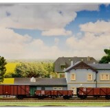 DSC_1185
