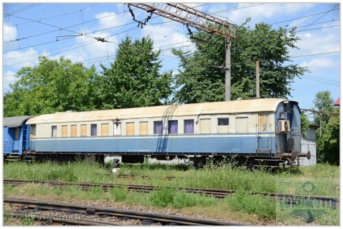 DSC 1633